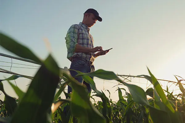 Farmer in field